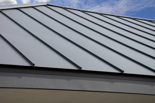Best Roof Moss and Algae Removal  in Altadena, CA
